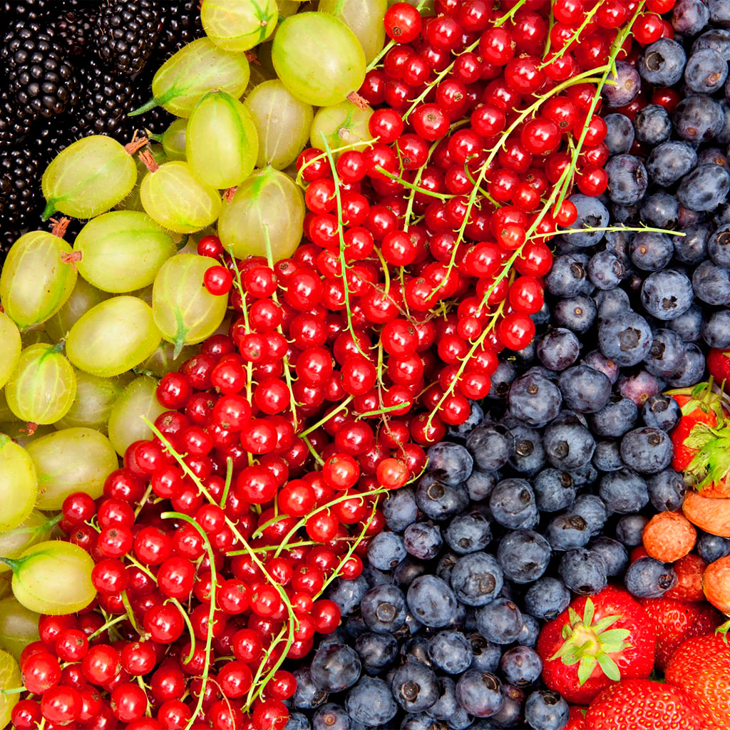 Frutas